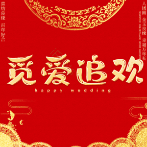 觅爱追欢