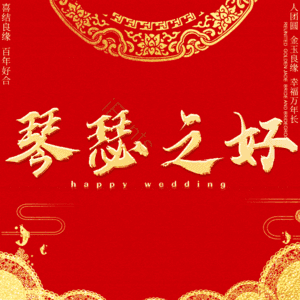 琴瑟之好