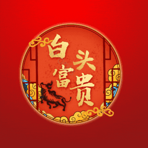 白头富贵
