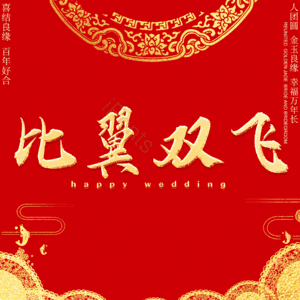 比翼双飞
