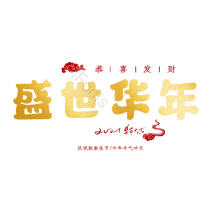盛世华年