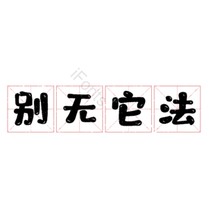 别无它法