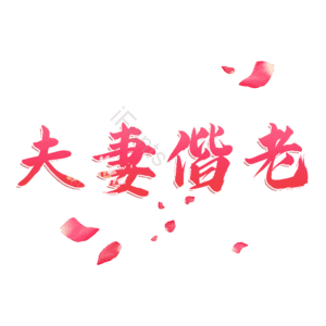夫妻偕老