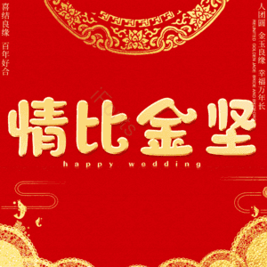 情比金坚
