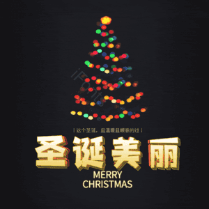 圣诞美丽