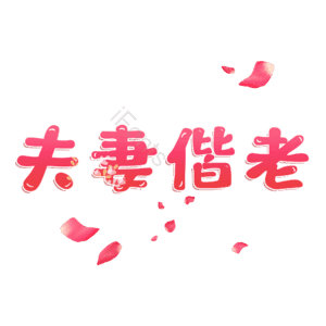 夫妻偕老