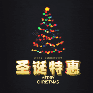 圣诞特惠