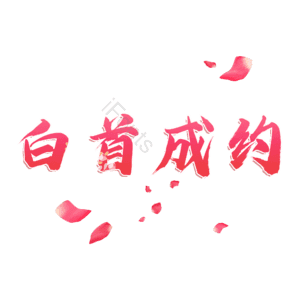 白首成约