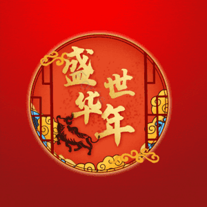 盛世华年