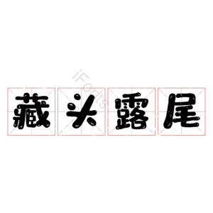 藏头露尾