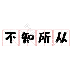 不知所从