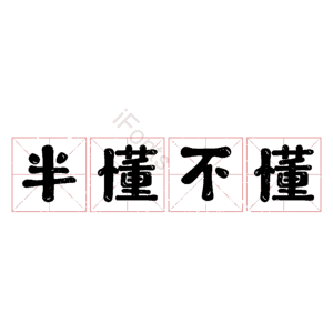 半懂不懂