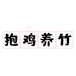 抱鸡养竹