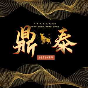 鼎泰