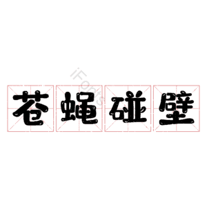 苍蝇碰壁