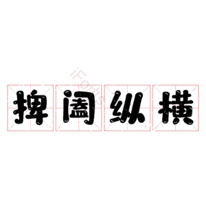 捭阖纵横