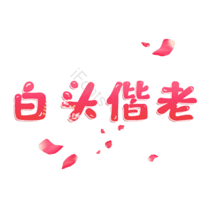 白头偕老