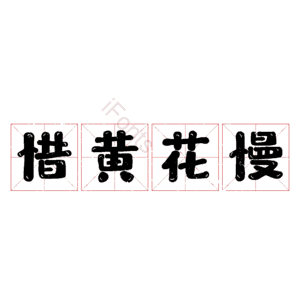 惜黄花慢