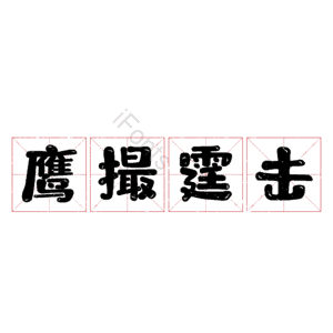 鹰撮霆击