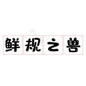 鲜规之兽