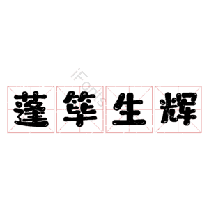 蓬筚生辉