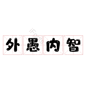 外愚内智