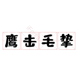 鹰击毛挚