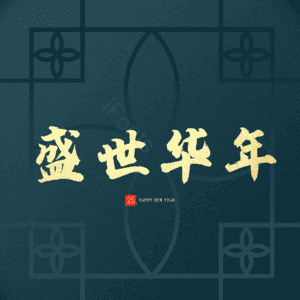 盛世华年