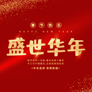 盛世华年