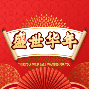 盛世华年