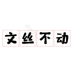 文丝不动