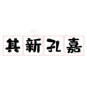 其新孔嘉