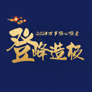 登峰造极