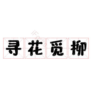 寻花觅柳