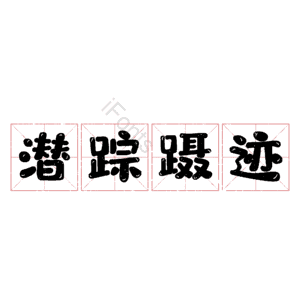 潜踪蹑迹