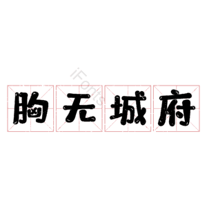 胸无城府