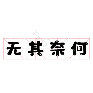 无其奈何