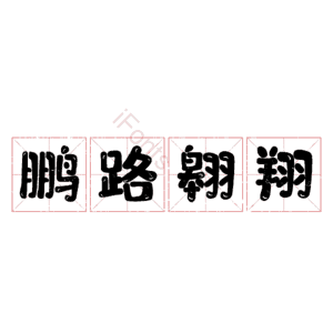 鹏路翱翔