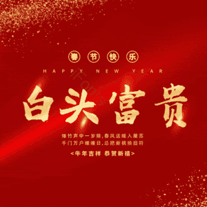 白头富贵