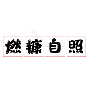 燃糠自照