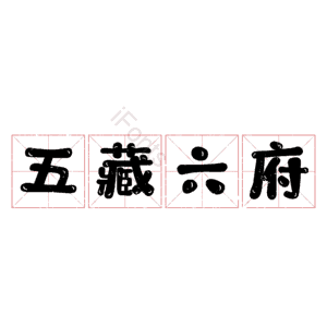 五藏六府
