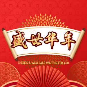 盛世华年