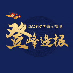 登峰造极