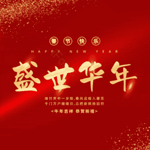 盛世华年