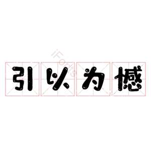 引以为憾