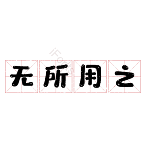 无所用之