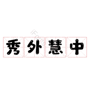 秀外慧中