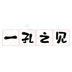一孔之见