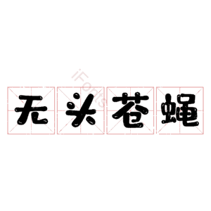 无头苍蝇