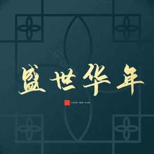 盛世华年